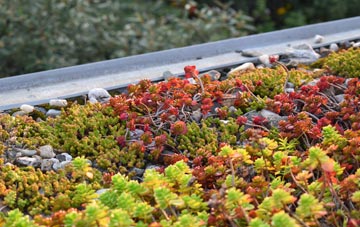 the cost of Jackson Bridge green roof installation