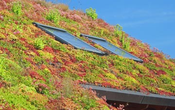 Jackson Bridge living roof systems